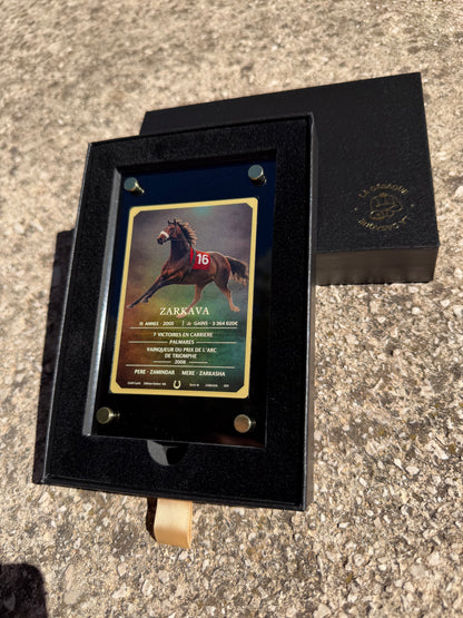 GOLD CARDS - Édition Limitée 100 - Série 1 - ZARKAVA