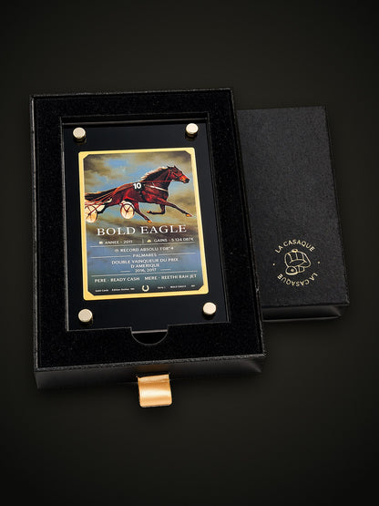Gold Card Bold Eagle dans son écrin, fond sombre
