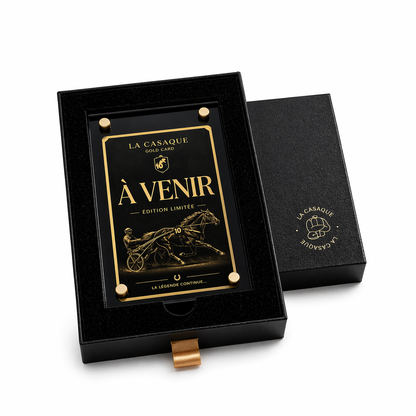À VENIR... BIENTÔT DISPONIBLE !