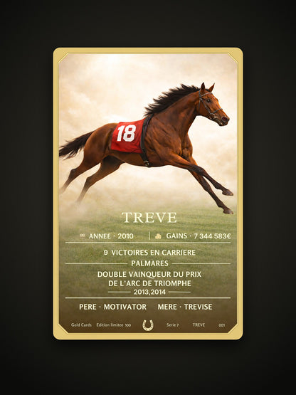 Carte Gold Card Trêve : illustration et palmarès